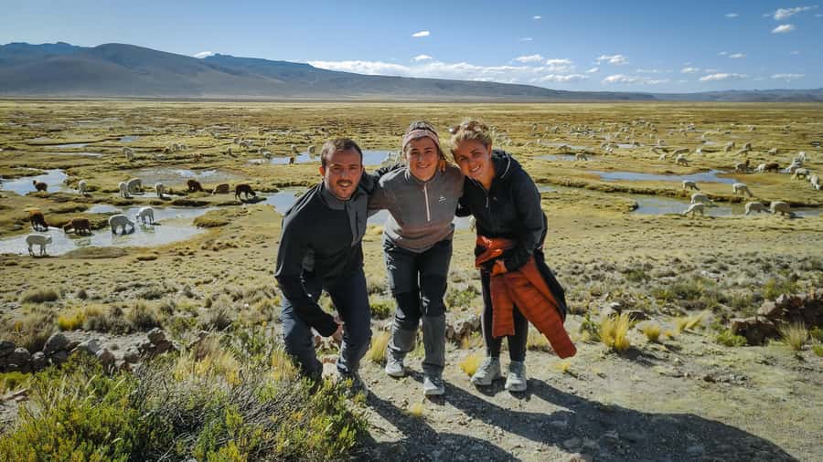 From Arequipa: Colca Canyon Full-Day Guided Tour with Meals - Why this day trip works for Arequipa visitors