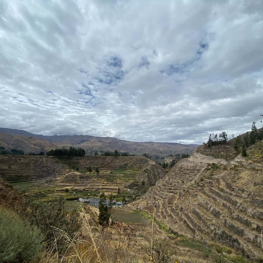 From Arequipa: Colca Canyon & La Calera Thermal Waters - Maca and Yanque, the human side of the valley