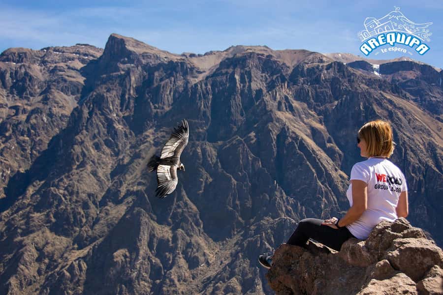 From Arequipa: Colca Valley & Thermal Baths Small-Group Trip - Why this makes sense for a one-day Arequipa trip