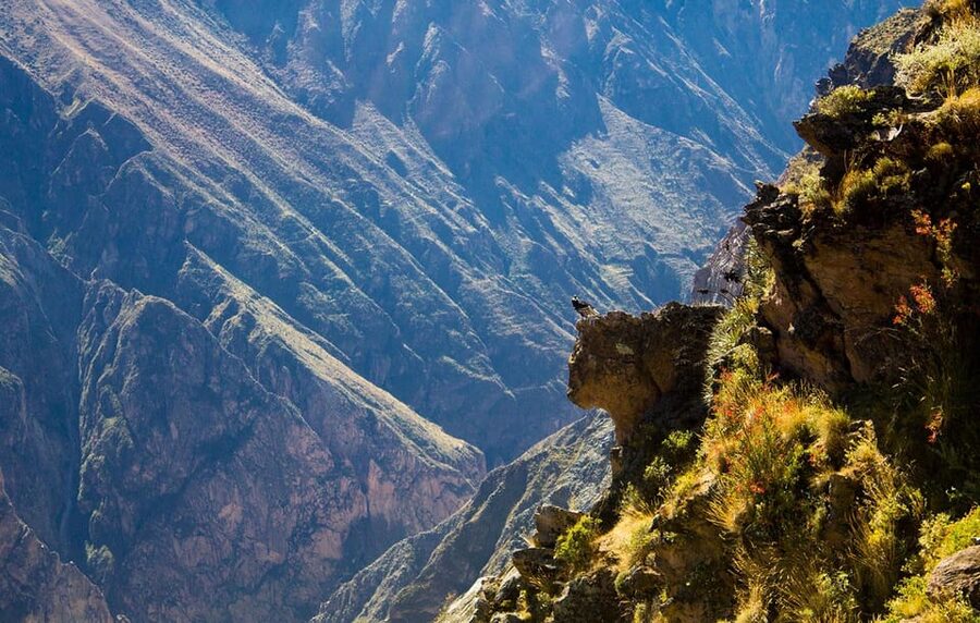From Arequipa: Colca Valley & Thermal Baths Small-Group Trip - Antahuilque and Wayrapunku viewpoints
