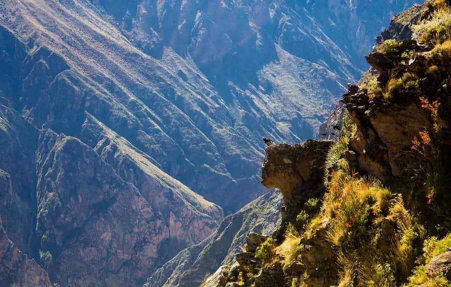 From Arequipa: Colca Valley & Thermal Baths Small-Group Trip - The pre-dawn ride to the high Andes