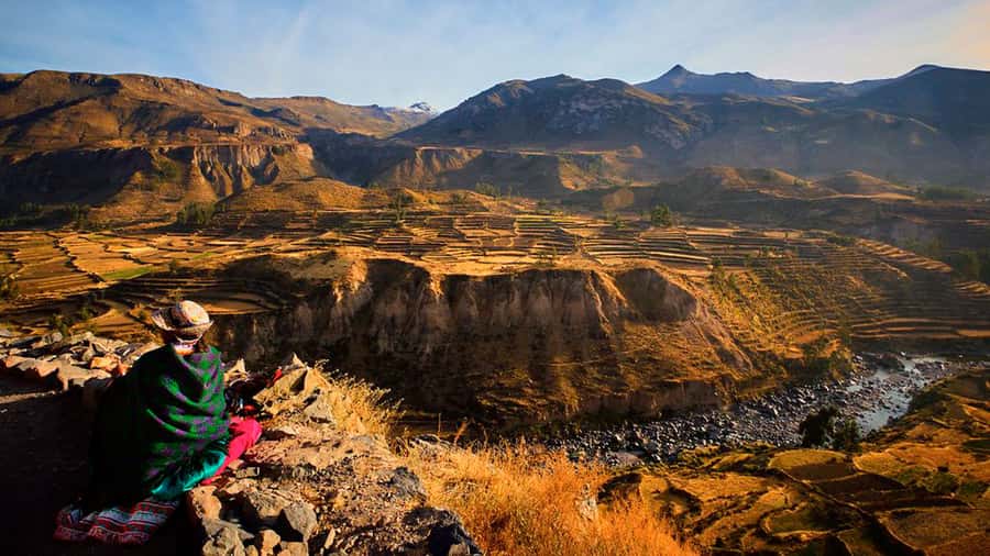 From Arequipa: Full Day Colca Canyon Tour - Quick reasons to consider this Colca Canyon day trip