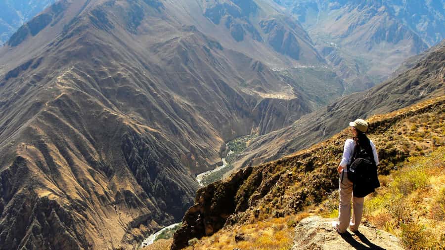From Arequipa: Full Day Colca Canyon Tour - Cruz del Cóndor: the day’s main event