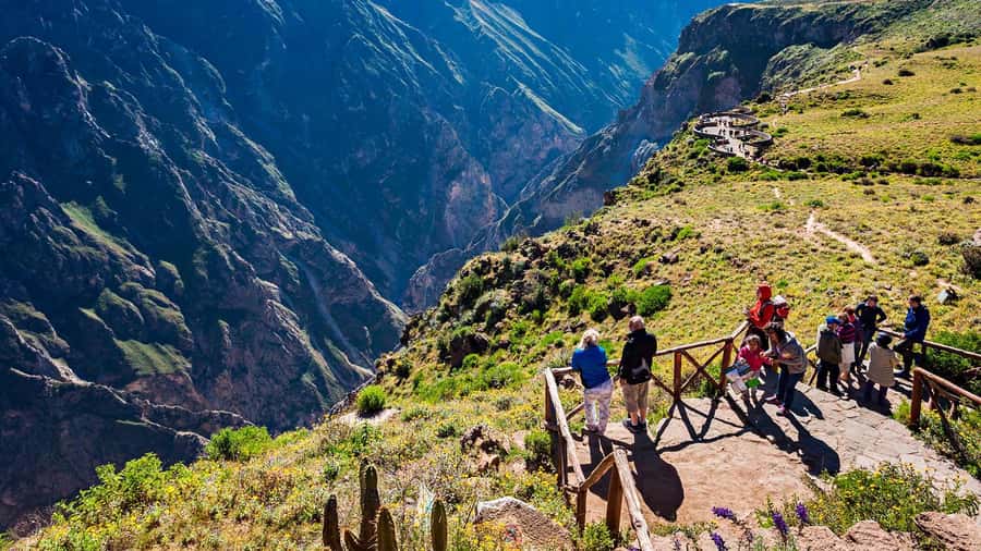 From Arequipa: Full Day Tour of Colca Canyon with Meals - The 3 a.m. pickup and the road to Chivay