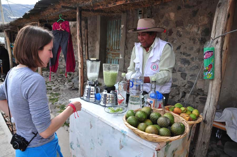 From Arequipa: One Day Trip to Colca Canyon Ending in Puno - Why this route makes sense