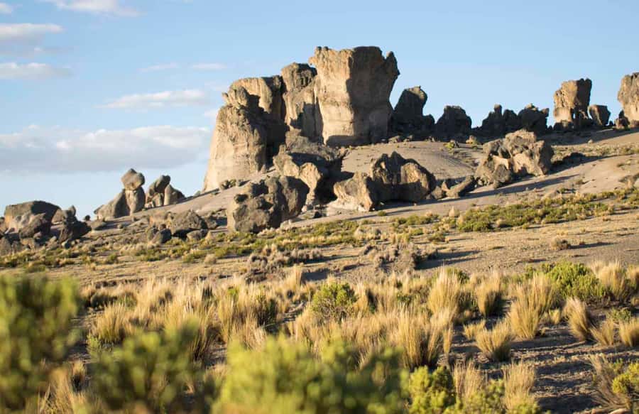 From Arequipa: Pillones Waterfall and Stone Forest Day Trip - The essential facts at a glance