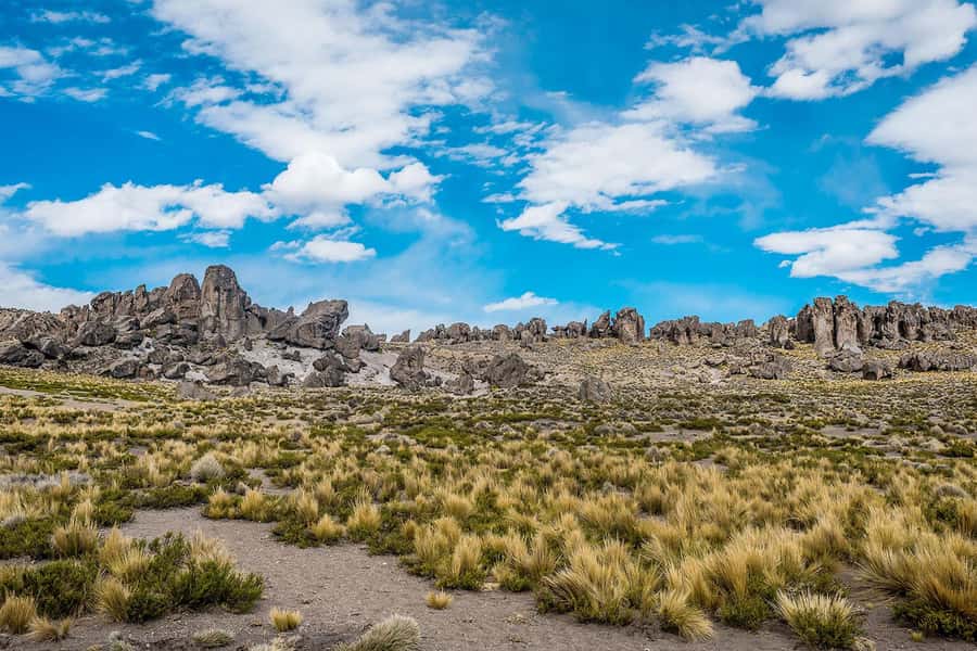 From Arequipa: Pillones Waterfall and Stone Forest Day Trip - A full day on the road