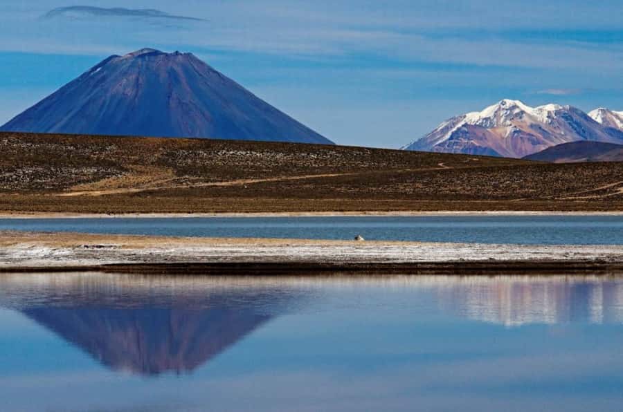 From Arequipa: Salinas Lagoon Full-Day Trip with Hot Springs - A breakfast stop in Chiguata’s main square
