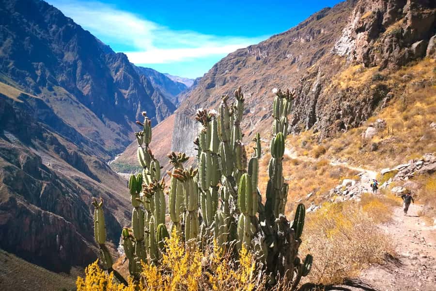 From Arequipa Trek : 2-Days of Hiking in the Colca Canyon - The 3 a.m. start from Arequipa