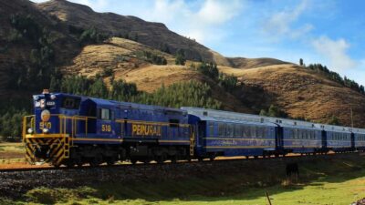 1-day Machu Picchu Tour by Train