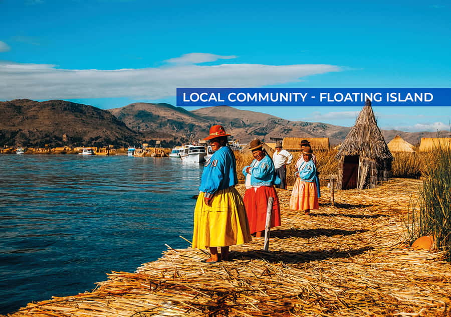 From Cusco: 2-Night Lake Titicaca Excursion - The early morning arrival in Puno