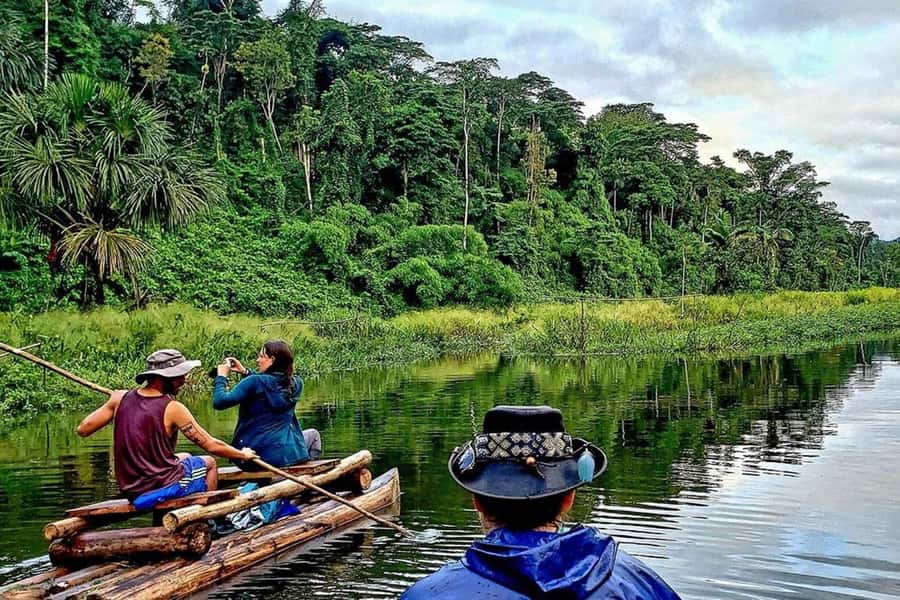 From Cusco: 4-Day Manu National Park Guided Tour - Should you book the four-day Manu tour?