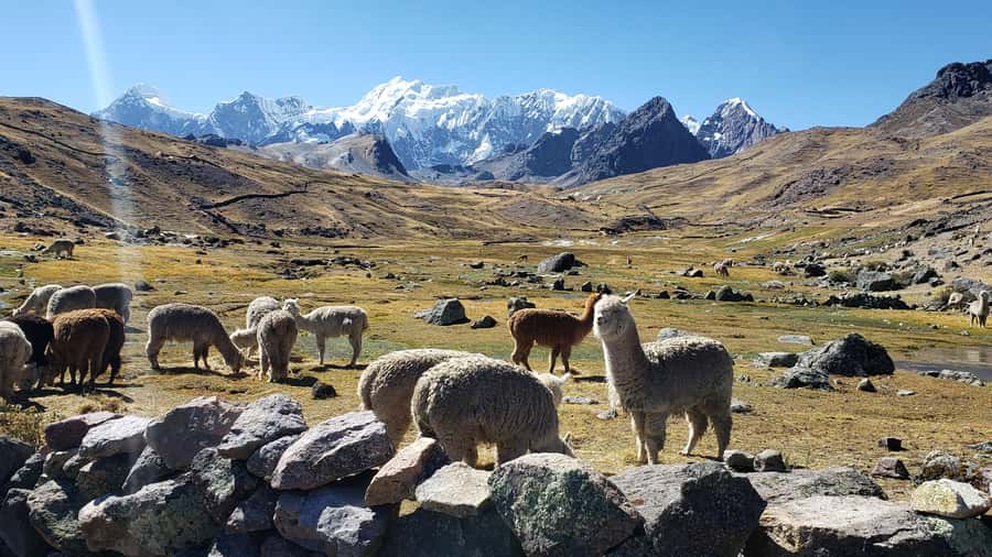 From Cusco: 7 Lakes of Ausangate Full Day Tour - Is $130 a fair price?
