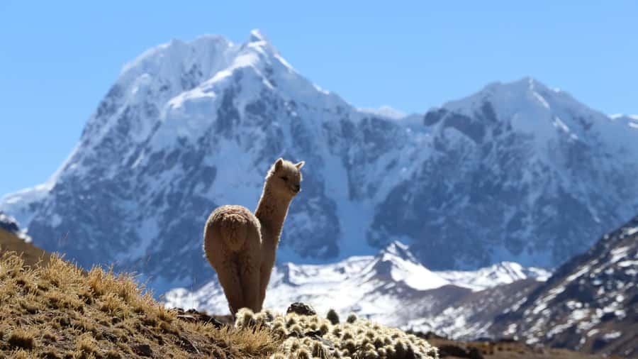 From Cusco: Ausangate Route - 7 Lagoons Tour + Meals - Photography at Ausangate and the lagoon viewpoints