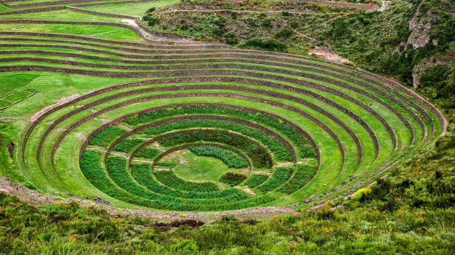 From Cusco: Chinchero Weavers, Moray, Maras Salt Mines Tour - Key points to know before you book
