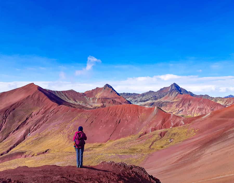 From Cusco: Full Day Rainbow Mountain + Red Valley | PRIVATE - What the guides add to the day