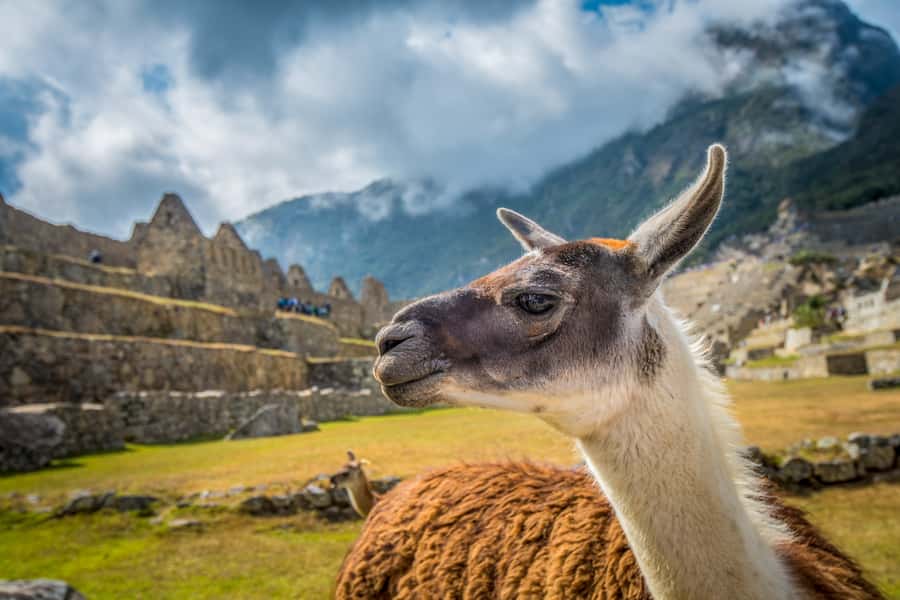 From Cusco: Machu Picchu Full-Day Guided Tour - Arriving in Aguas Calientes