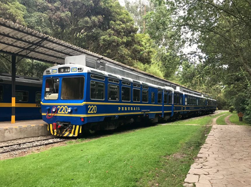 From Cusco: Machu Picchu Private Day Trip on Panoramic Train - Free time, lunch, and the return to town