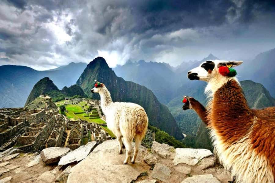 From Cusco:MachuPicchu Excursion 1 day plus Ticket and Train - Pickup points in Cusco’s historic center