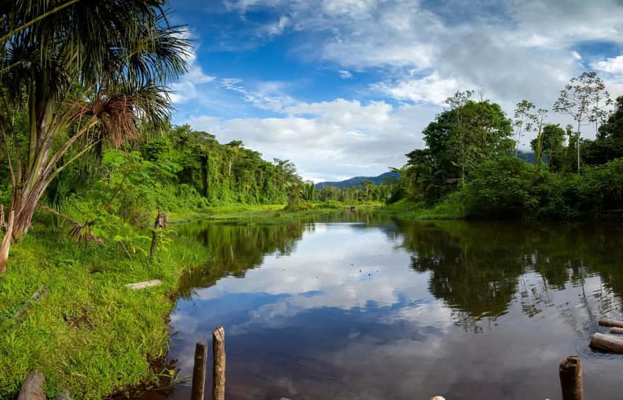 From Cusco: Manu National Park Tour & Accommodation 3 Days - Guides, group size, and the feel of the outing