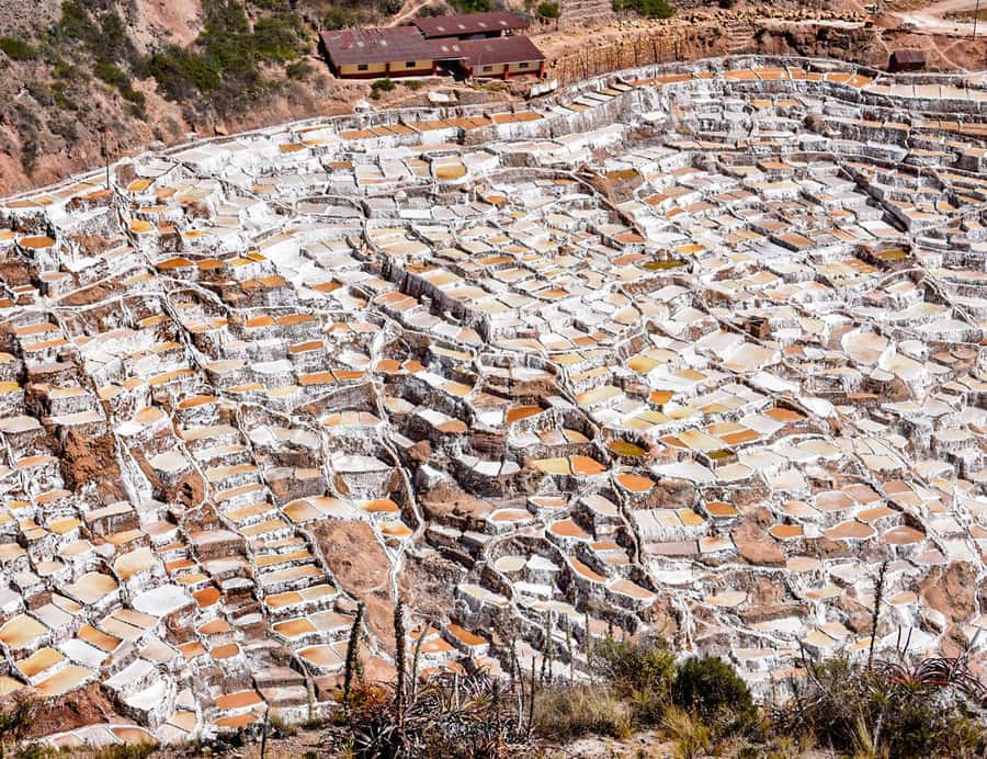 From Cusco: Moray, Maras Salt Mines & Chinchero Weavers Tour - Maras Village: a brief look at colonial Peru