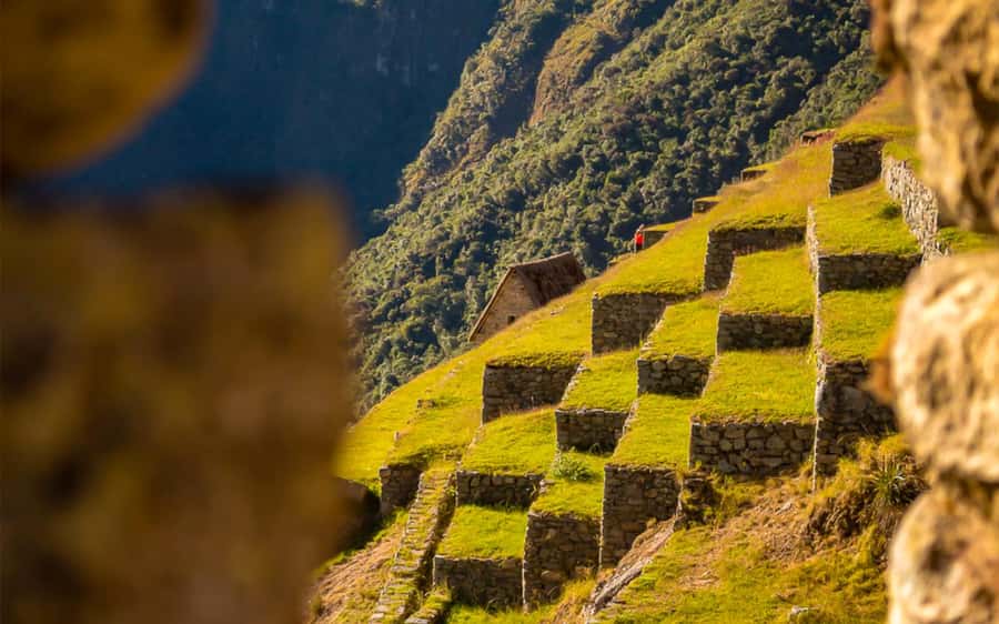 From Cusco: One-Day Round Trip to Machu Picchu by Train - Weather, comfort, and what to pack