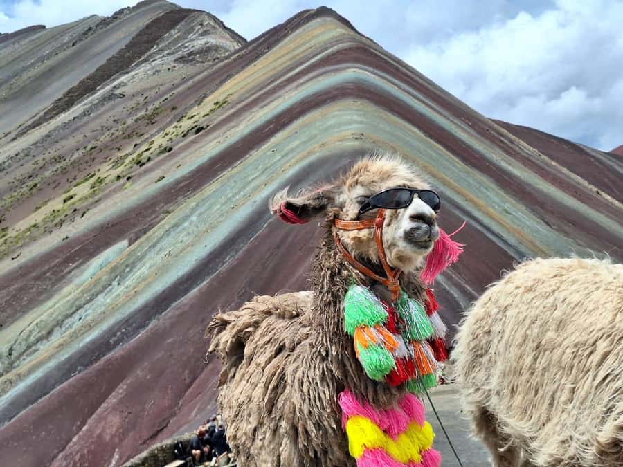 From cusco: Rainbow Mountain ATV Tour with meals - One hour beside the colored mountain