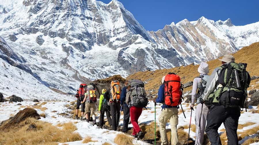 From Cusco: Salkantay trek 5 days/4 nights meals included - Guide support and group expectations