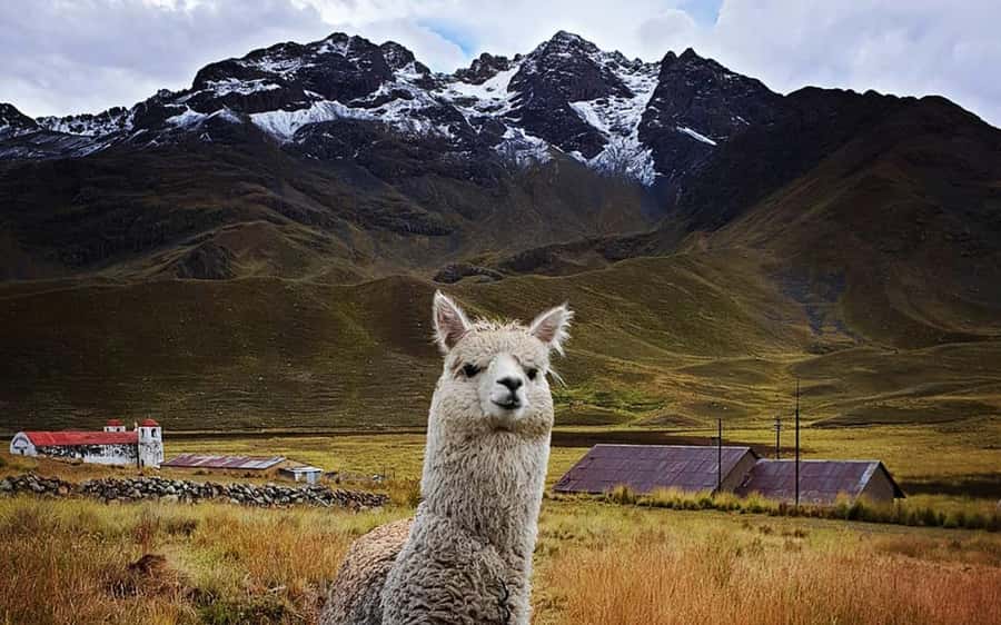 From Cusco: Titicaca lake with the route of the sun in 2 day - Pucará and the Lithical Museum