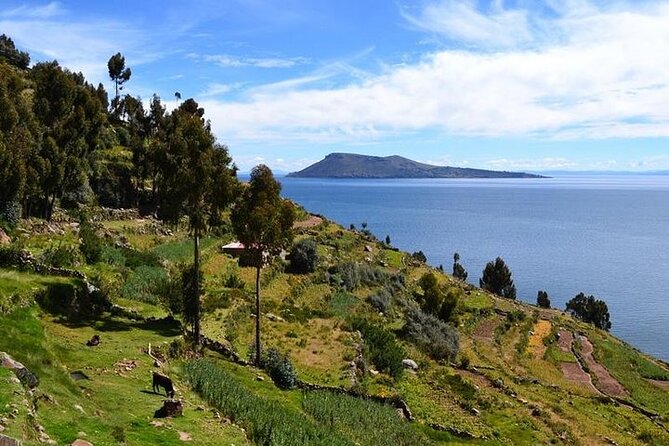 From Cusco to Lake Titicaca: 2-Day Homestay Tour - The overnight bus from Cusco to Puno