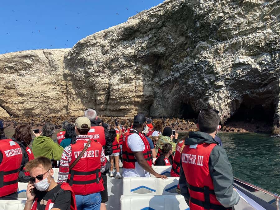 From Huacachina: Ballestas and Paracas Reserve - GROUP TOUR - What $40 really gets you