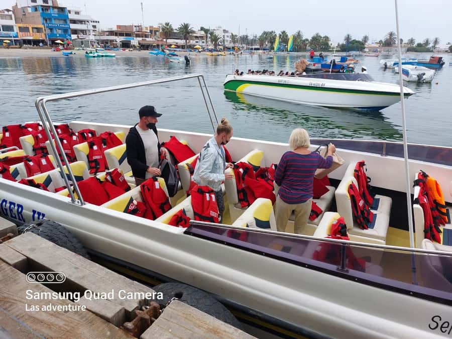 From Huacachina: Ballestas and Paracas Reserve - GROUP TOUR - Language, group size, and comfort