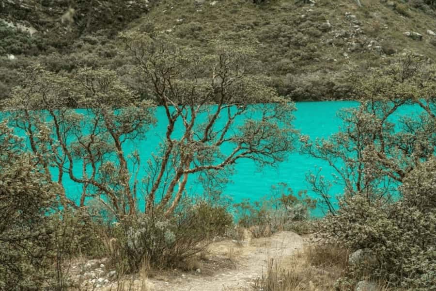 From Huaraz: Tour to Llanganuco Lakes (Chinancocha Lake) - Chinancocha at 12,631 feet