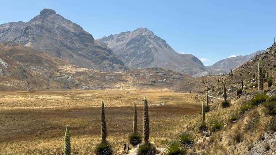 From Huaraz: Tour to the Pastoruri Glacier and Puya Raimondi - Lunch is practical, but keep expectations modest
