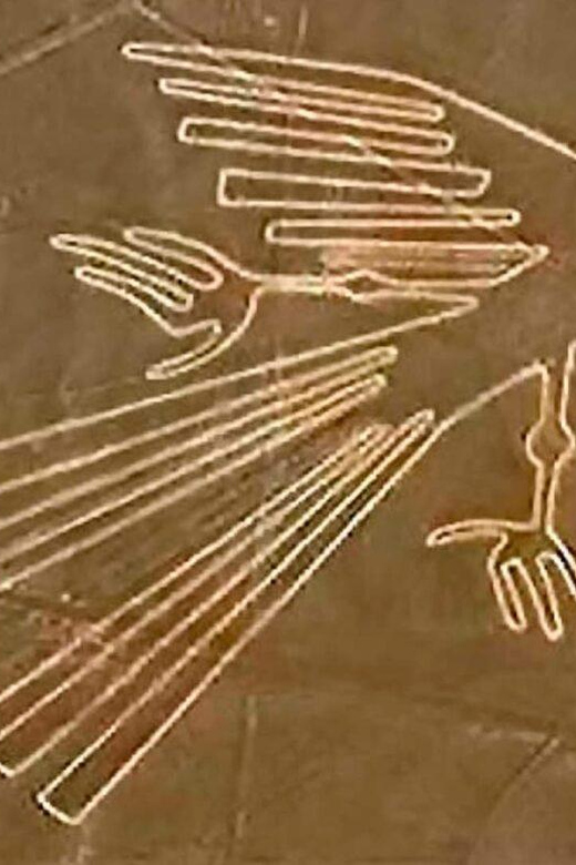 From Ica: Flight over the Nazca Lines - Free time for lunch in Nazca