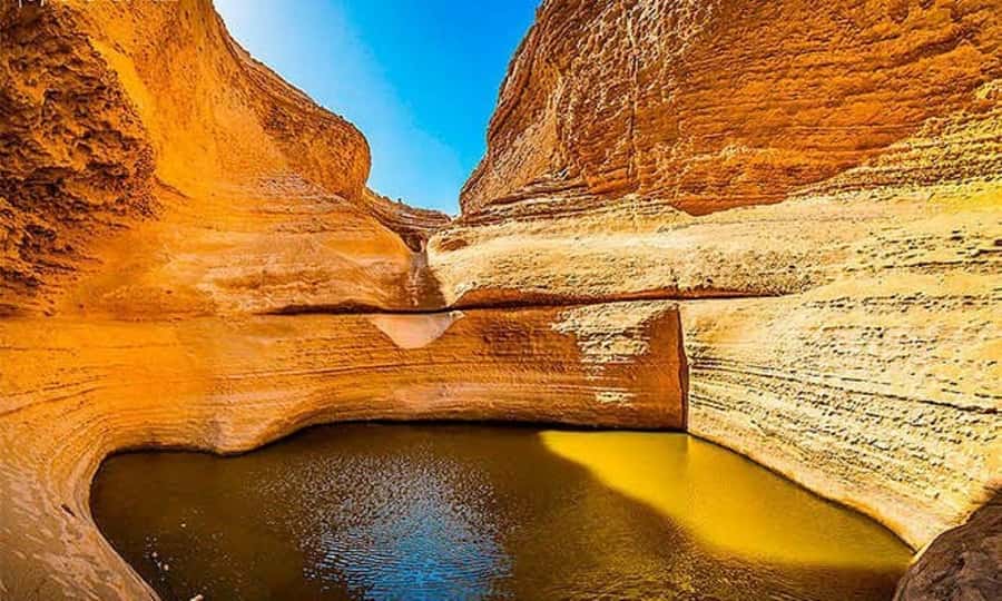 From Ica || Full Day Excursion to Los Perdidos Canyon || - Five things to know before you book