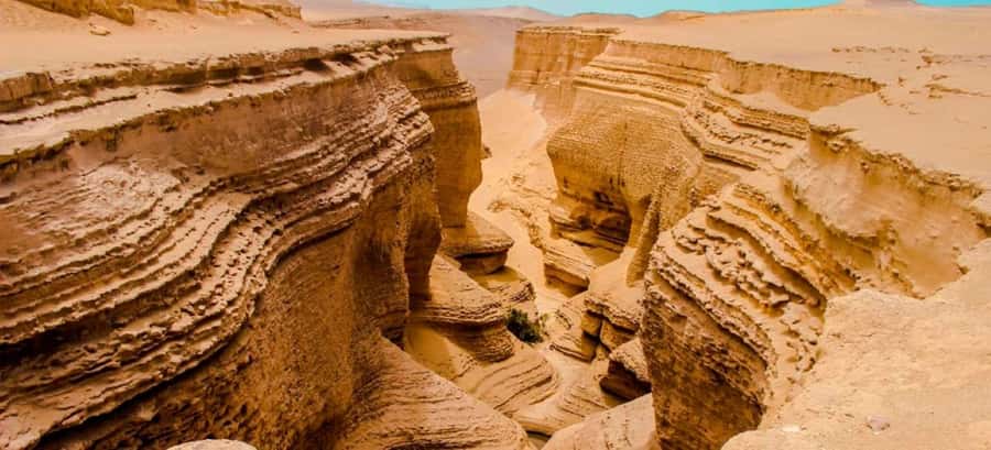 From Ica || Full Day Excursion to Los Perdidos Canyon || - Ocucaje’s square, monuments, and fossil story
