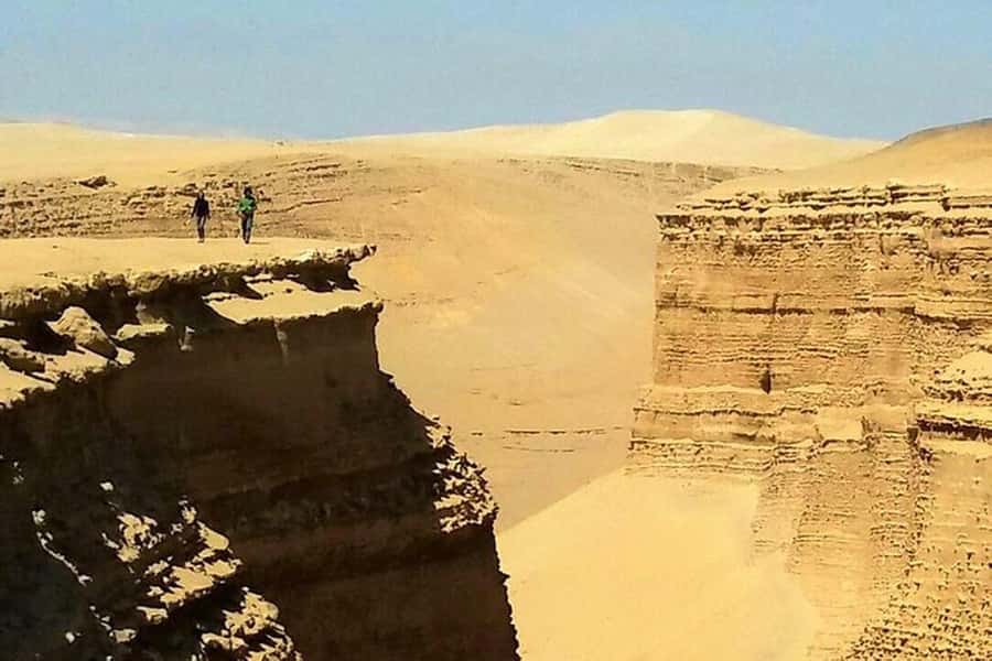 From Ica | Huacachina : Canyon de Los Perdidos | Full Day - Key points to know before you book