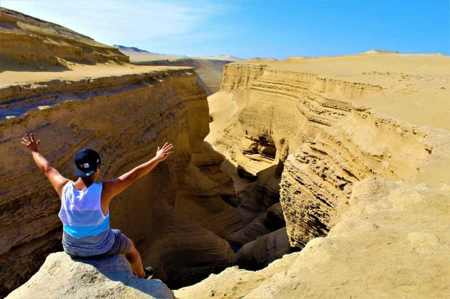 From Ica | Huacachina : Canyon de Los Perdidos | Full Day - Fossils, saltpeter, and the old Ocucaje seabed