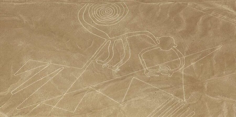 From Ica or Huacachina: Flight Tour Nazca Lines | Overflight - Booking advice for a smoother day
