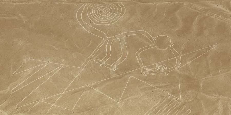 From Ica or Huacachina: Flight Tour Nazca Lines | Overflight - Why the Nazca Lines are worth seeing from the air