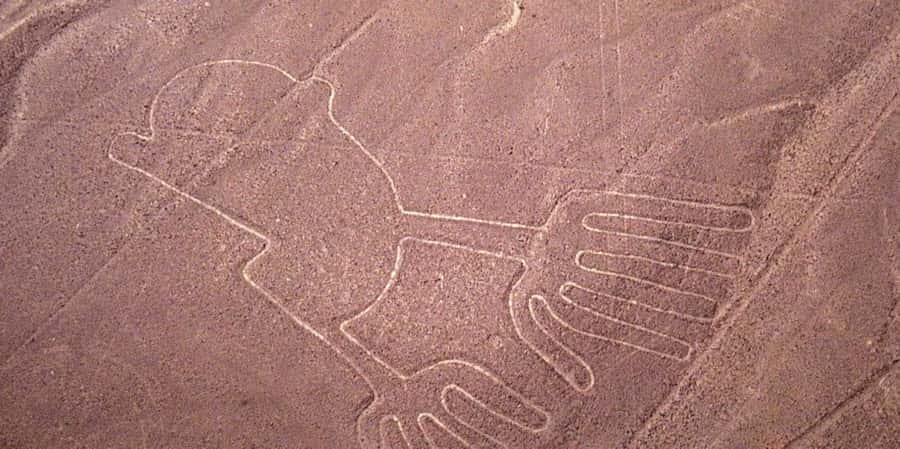 From Ica or Huacachina: Flight Tour Nazca Lines | Overflight - Is $259 a good value?