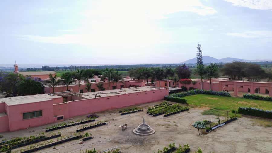 From Ica or Huacachina: Tour to Tacama Vineyard and Artisanal Winery. - La Vieja Bodega Lovera and its 1867 family story