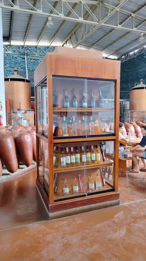 From Ica or Huacachina: Tour to Tacama Vineyard and Artisanal Winery. - Lunch with food from the Ica region
