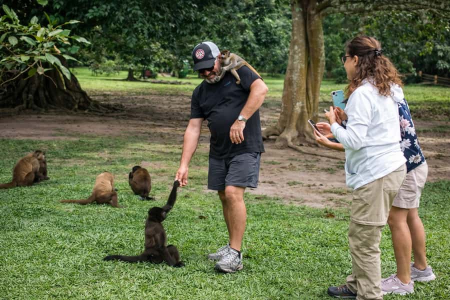 From Iquitos: 3-Day Amazon Jungle Adventure Trip - Who should book this Amazon trip?