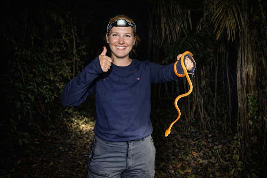 From Iquitos: 3-Day Amazon Jungle Adventure Trip - The lodge: comfort without luxury