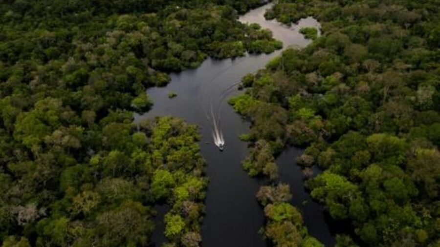 From Iquitos: 3-Day Amazon Jungle Adventure Trip - Guides can make or break the three days