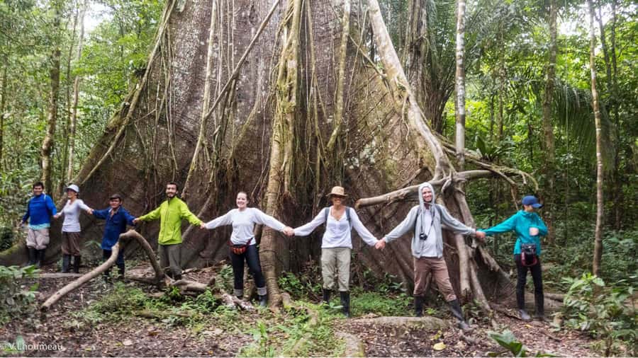 From Iquitos: Full day tour in the Peruvian jungle - Leaving Iquitos at 9:00 AM