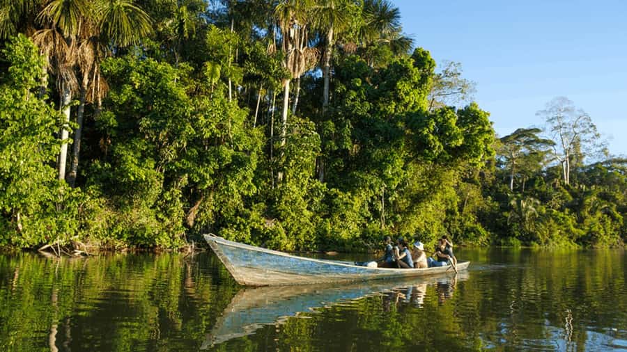 From Iquitos: Full day tour in the Peruvian jungle - Victoria Regia and the reserve’s unusual residents