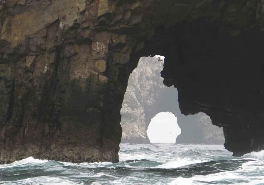 From Lima: Ballestas Islands and Huacachina Sunset Day Trip - Pisco at Cultur Pisco winery